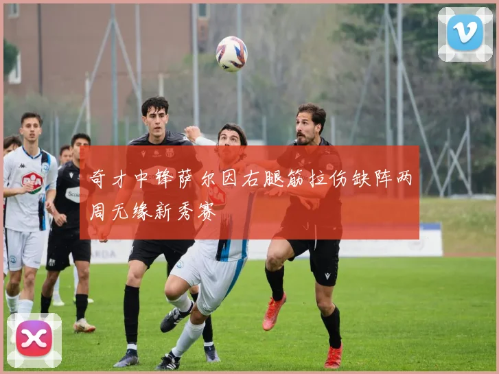 奇才中锋萨尔因右腿筋拉伤缺阵两周无缘新秀赛