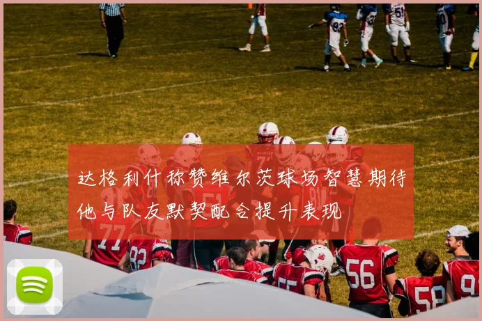 达格利什称赞维尔茨球场智慧期待他与队友默契配合提升表现