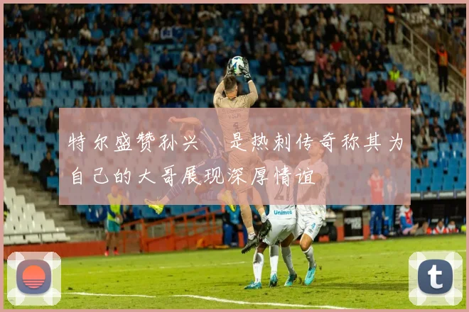 特尔盛赞孙兴慜是热刺传奇称其为自己的大哥展现深厚情谊